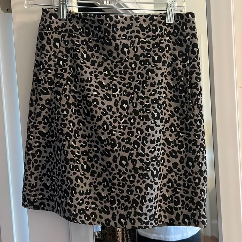 Ann Taylor - LOFT skirt!
